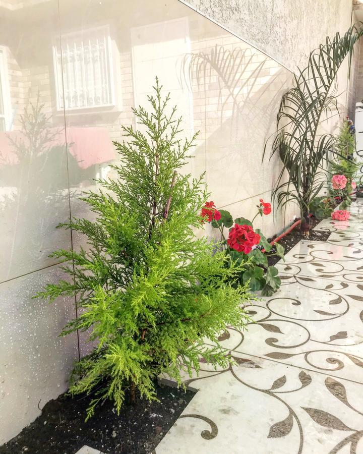 Shahal Apartments Beersheba Dış mekan fotoğraf